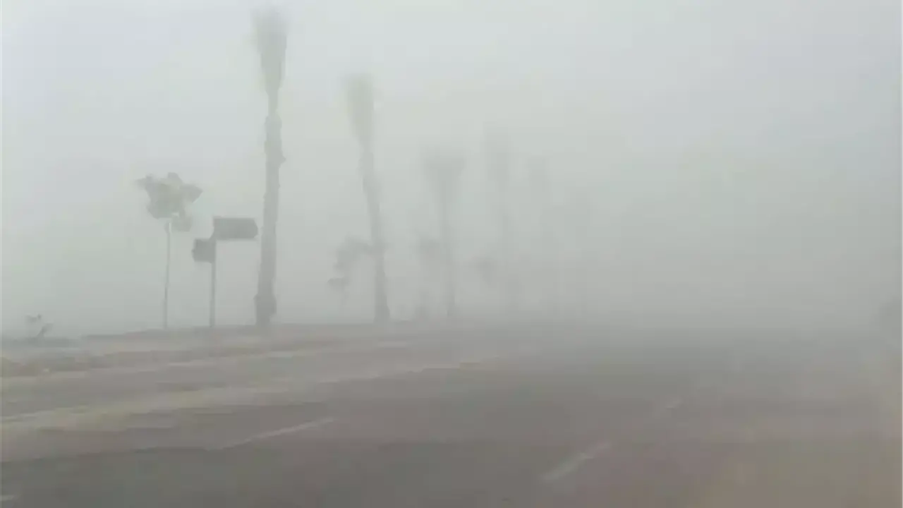 طقس الأسبوع.. تحذيرات من أمطار وشبورة مائية بمختلف المحافظات حتى الخميس 26 فبراير